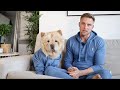 QUESTIONS ABOUT CHOW CHOW S