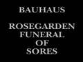 Bauhaus ~ Rosegarden Funeral of Sores
