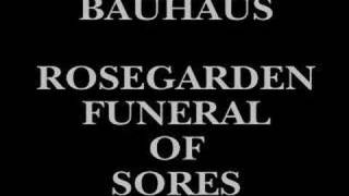 Bauhaus ~ Rosegarden Funeral of Sores