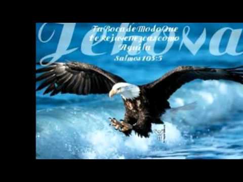 Brenda Altamirano -  por el poder de tu amor