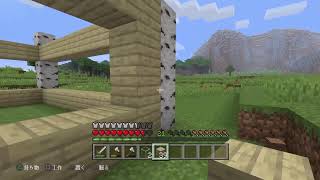 マインクラフト　　家つくり終わりまでやる
