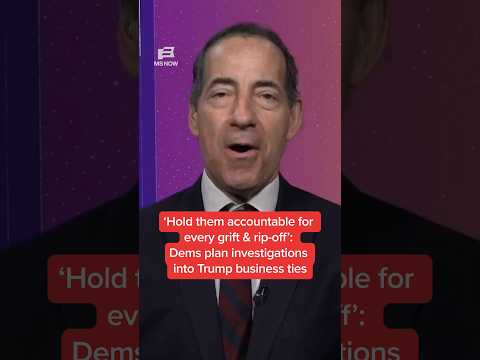 ‘Hold them accountable for every grift & rip-off' Dems plan investigation into Trump’s business ties