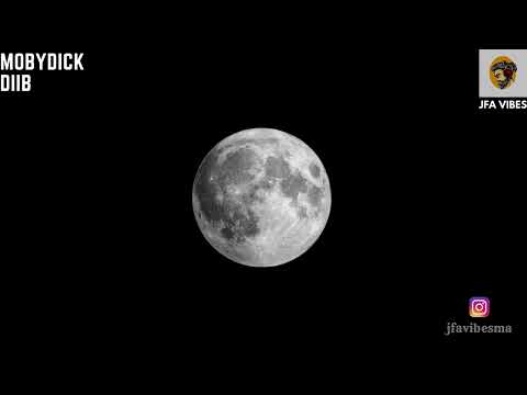 DIIB & MOBYDICK