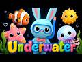 Calm Bunny Underwater High Contrast Sensory Video For Babies Toddlers