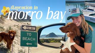 A Cozy 24 hour Escape to Morro Bay, California