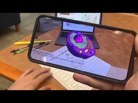 Sprout Anatomy AR