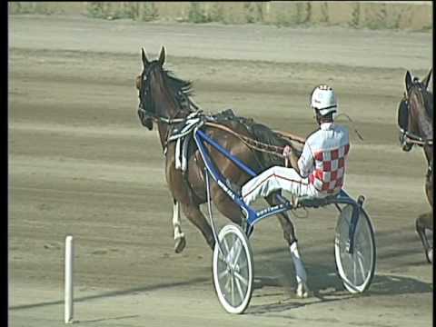 Trotto 15/06/2017 - 3ª corsa