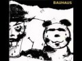 Bauhaus - Hair of the Dog