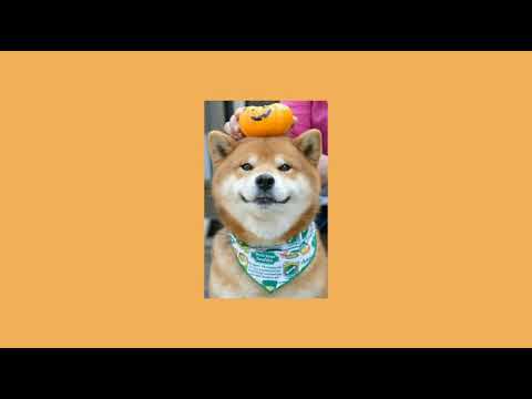 wake up - beemq ft.2t flow | cover youngbooth 🥀