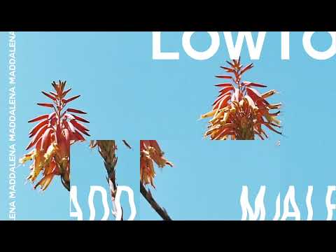 Lowtopic  - Emi