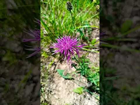 MILLAU 2023 AU PRINTEMPS @ninetyninetwentyfive