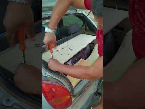 SOBRADO PB 🔄 LAGOA DO CARRO PE, OBRIGADO EDILSON FÉLIX 🫡🫵🏽#suino #2city #suinoculturabr