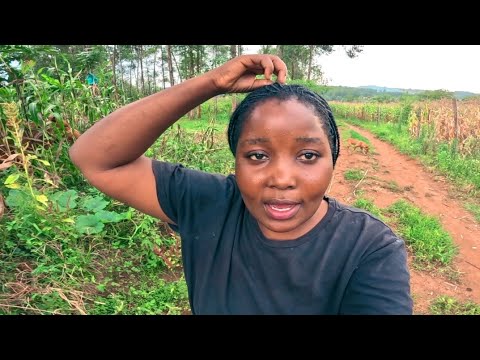 ¡Por fin... comienza!!