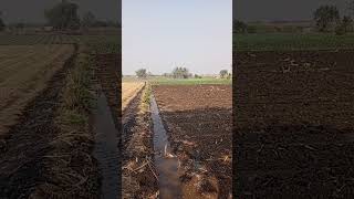 Download lagu 17 January 2026 mp3