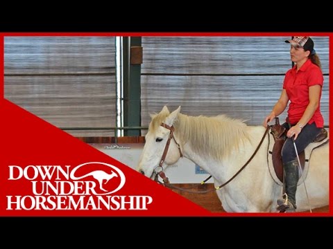 Clinton Anderson: Intermediate Testing, Riding Part 1 - Downunder Horsemanship
