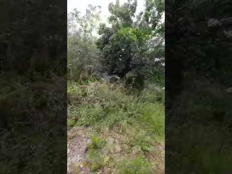 venta de 7 lotes en el Manzano