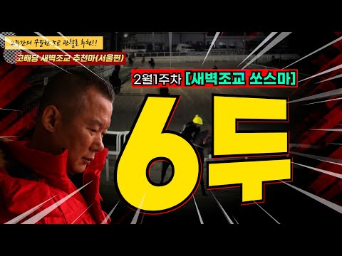 강백호-기수부터 마방까지 승부의지 강해진 2월 1주차 경마주간!! 2주간 훈련변화 보인 새벽조교 쏘스마는