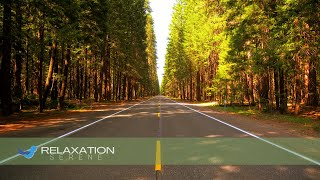 Music to Relax Reassure Study Meditate