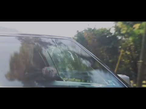 Video thumbnail for Wildflowers & Wine