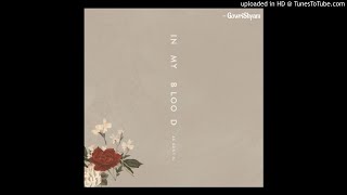 Shawn Mendes - In My Blood (Acoustic)