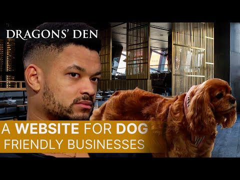 Travel Website For Dogs? | Dragons' Den