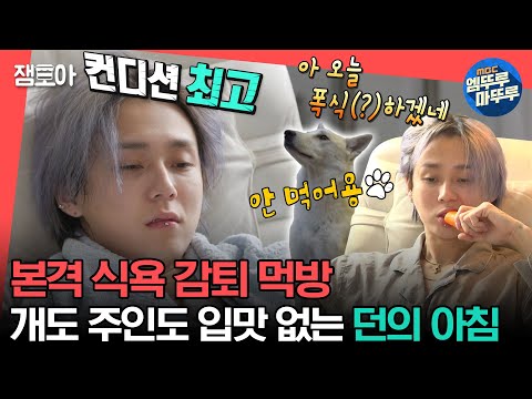 [#전참시] 매일 대장내시경 가능한👌 반려견 햇님이까지 식욕없는 던의 아침😵‍💫😵ㅣ#던 MBC230513방송