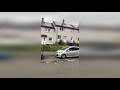 Terrifying Footage Shows Demon Seagull Swooping Down On Bricklayer S Head