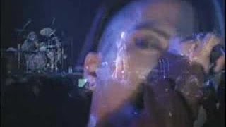 Razed In Black - What&#39;s Fair? (Regulacion) (Agony Mix)