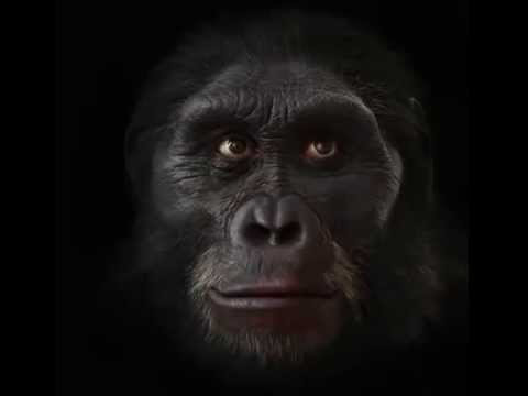 มนุษย์โบราณ