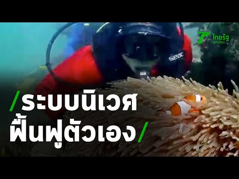 คลิกเพื่อดูคลิปวิดีโอ