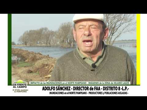 DE FRENTE AL CAMPO junto al SECTOR PRODUCTIVO PAMPEANO -ADOLFO SÁNCHEZ-