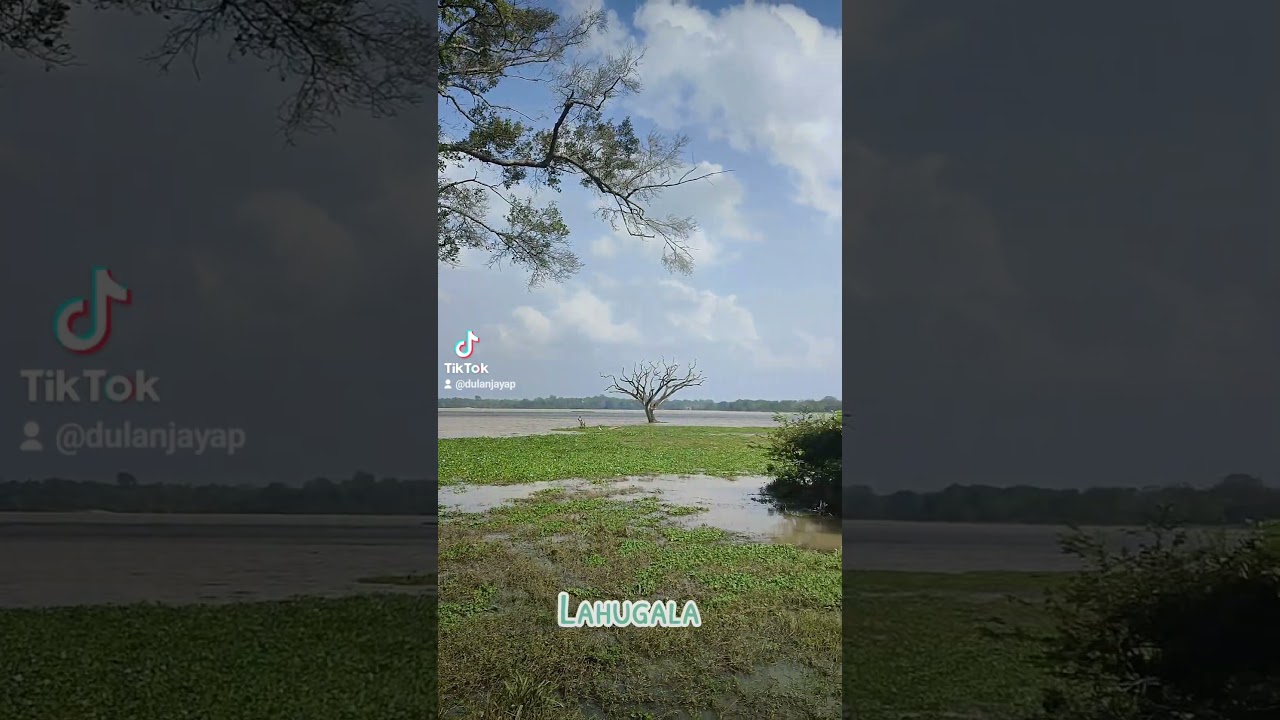 YouTube Short thumbnail