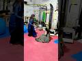 Belly Punch Girl Belly Punch Belly Punch Training Girl Belly Woman Belly Female Belly
