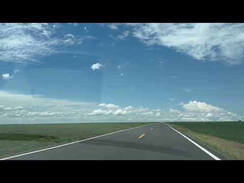 Plantações de sojas na Rodovia 010 rumo a Vianópolis Goiás 