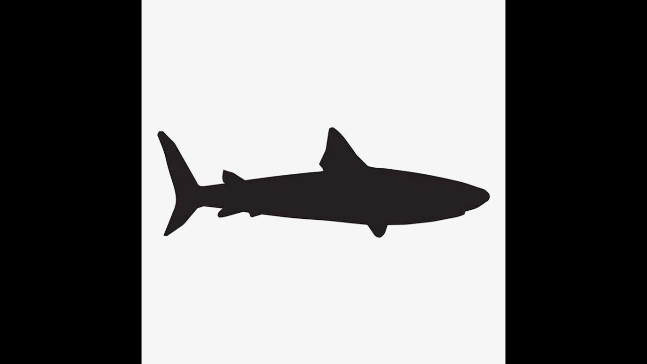 Illustration Of Shark Fish In Silhouette Isolated On White : Stock Vector (Royalty Free) 021655