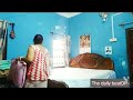 ️Nighty Tuck Vlog Cleaning Vlog