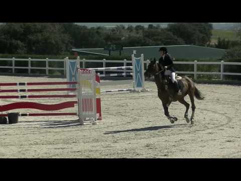 *SOLD* Peachy des Ibis (Quick Star / Quidam de Revel) - Inés Llantada - 125 class - 19.3.2017