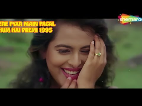 Tere pyar main pagal (Hum Hain Premi)
