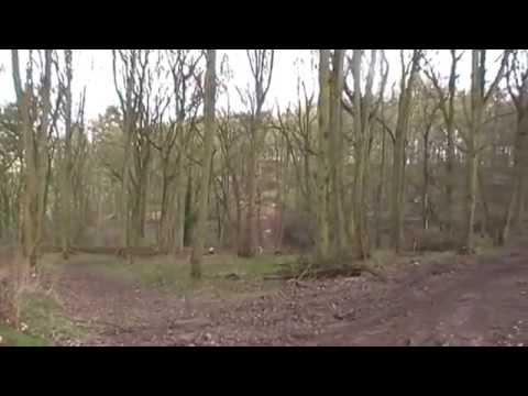 Ashdown Farm MX Practice 01/03/2015 MOV023