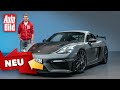 The Best 21 Porsche 718 Cayman Gt4 Rs Erlkönig