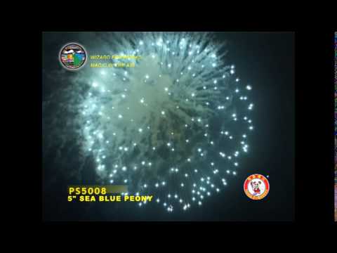 SA125PE02 - 5 INCH SHELL - WIZARD FIREWORKS - PS5008