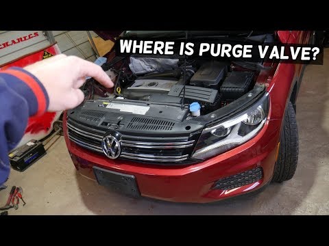 WHERE IS THE PRUGE VALVE ON VW 2.0 FSI ENGINE DEMONSTRATED ON VW TIGUAN  VOLKSWAGEN PURGE VALVE