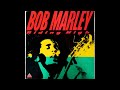 Bob Marley - Turn Me Loose 432hz