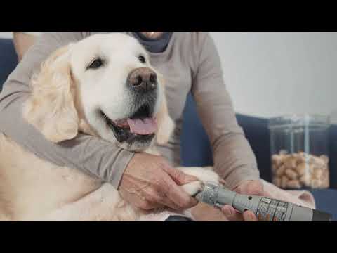 How to Trim Your Dog’s Nails With Dremel