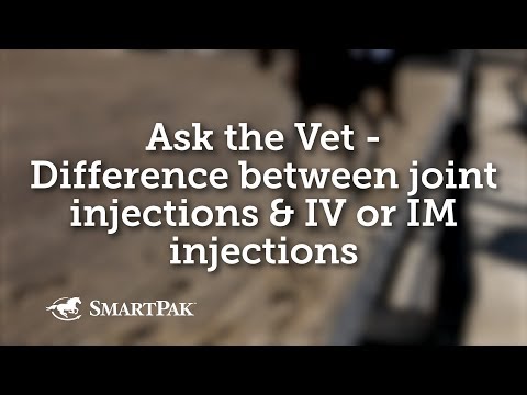 Ask the Vet - Difference between joint injections and intravenous or intramuscular injections