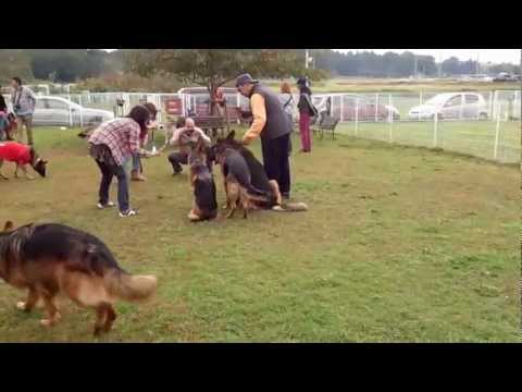 {$row[$i]['name'], ENT_QUOTES,'utf-8'); ?>