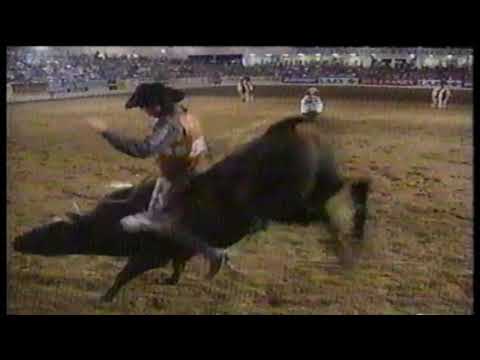 Lonnie Steverson vs Risky Business - 96 PBR Reno (82 pts)