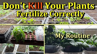 How to Perfectly Fertilize Garden Seed Starts & Transplants (Indoors & Greenhouses)
