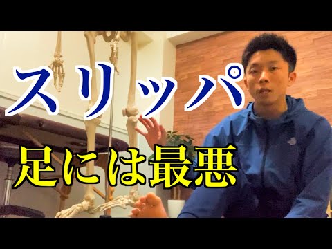 園芸 Royal Lady's レディーススリッパ