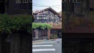 【🇰🇷カフェ】韓国最初ワールド・バリスタ・チャンピオンがいるMOMOS COFFEE #韓国カフェ #韓国カフェ巡り
